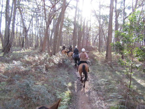 Silver Brumby Trails - New South Wales Tourism  2