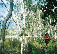 Thorsborne Trail Hinchinbrook Island National Park - New South Wales Tourism 