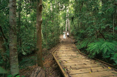 Lake Barrine Circuit Track, Crater Lakes National Park - New South Wales Tourism  1
