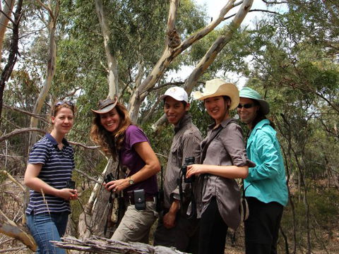 Echidna Walkabout Nature Tours - New South Wales Tourism  4