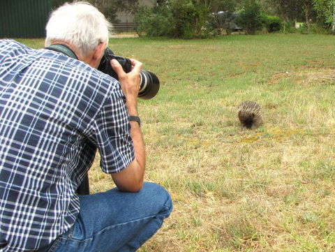 Echidna Walkabout Nature Tours - New South Wales Tourism  9