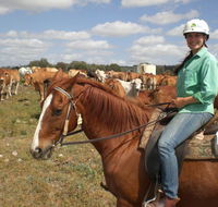 Myella Farm Stay Tours - New South Wales Tourism 