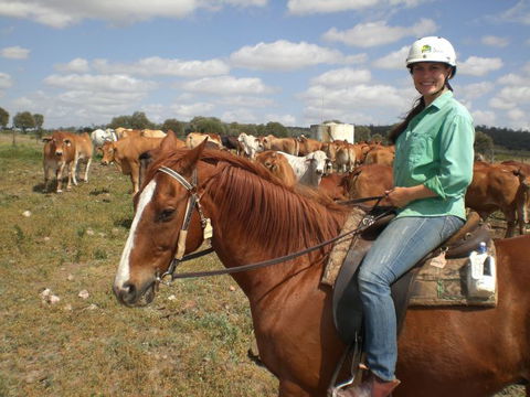 Myella Farm Stay Tours - New South Wales Tourism  0