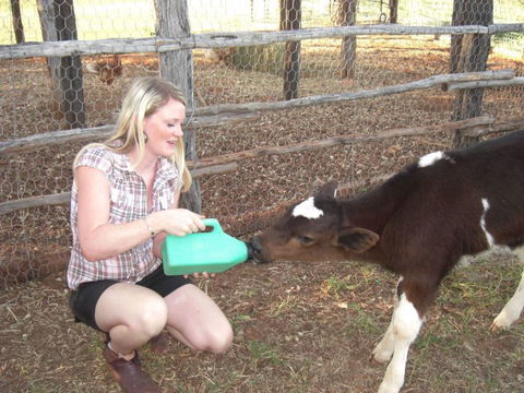 Myella Farm Stay Tours - New South Wales Tourism  1