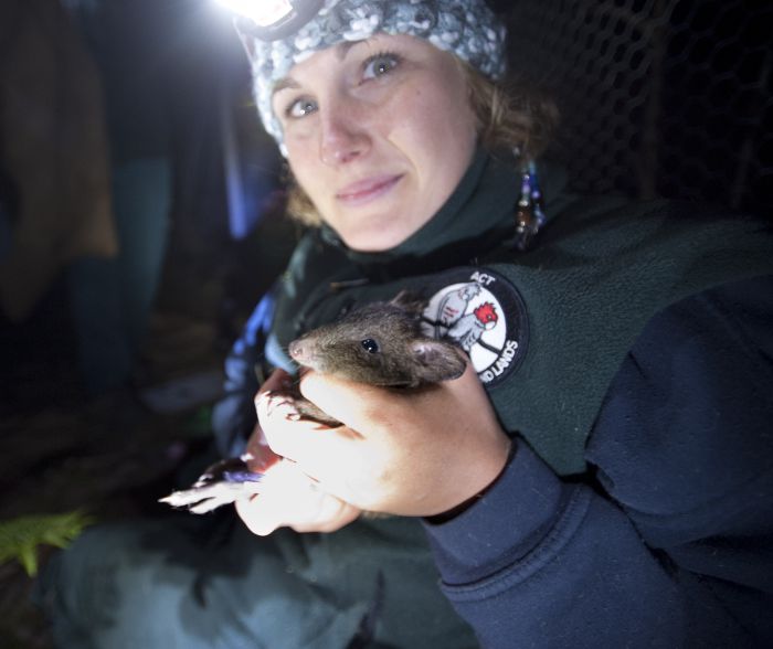 Act Country ACT New South Wales Tourism 