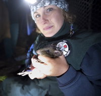 Naturewise at Tidbinbilla - New South Wales Tourism 
