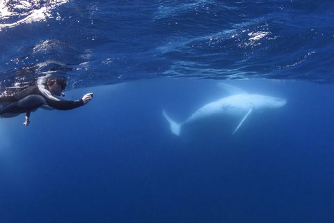 Sunreef Mooloolaba - New South Wales Tourism  4