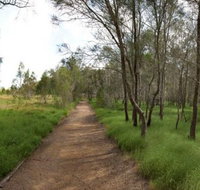 Billai dhagun Circuit Place of She-Oaks - New South Wales Tourism 
