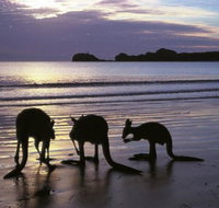 Beachcomber Cove Track - New South Wales Tourism 