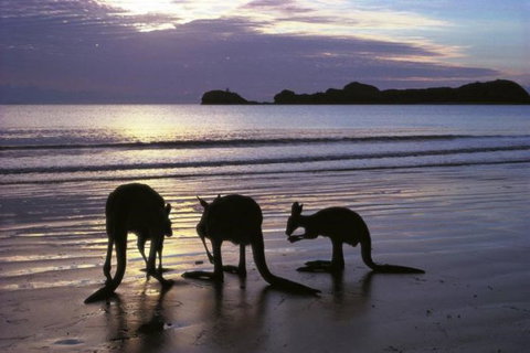 Beachcomber Cove Track - New South Wales Tourism  0