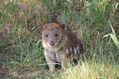 Oceania Tours And Safaris - New South Wales Tourism  6