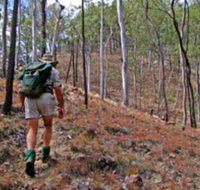 Shepherd's Peak Trail - New South Wales Tourism 