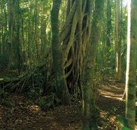 Tullawallal circuit - New South Wales Tourism 