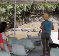 Whitsunday Crocodile Safari - New South Wales Tourism 
