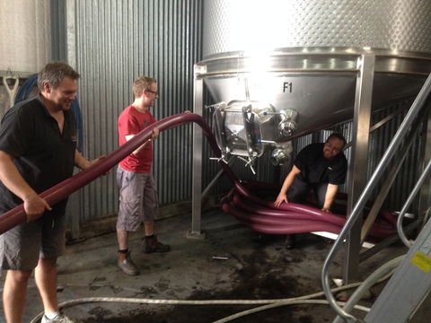 La Prova Wines - New South Wales Tourism  2