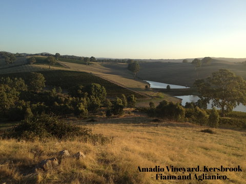 Scott & La Prova - New South Wales Tourism  1