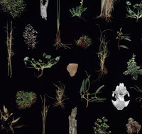 Weswal Gallery - New South Wales Tourism 