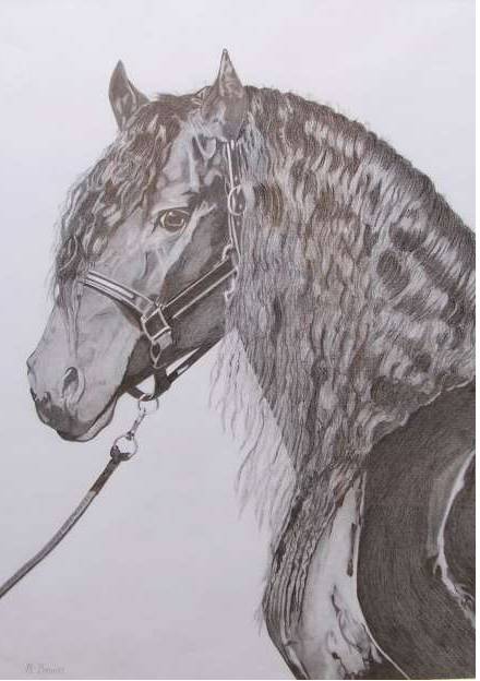 Great Lakes Art Society - New South Wales Tourism  0