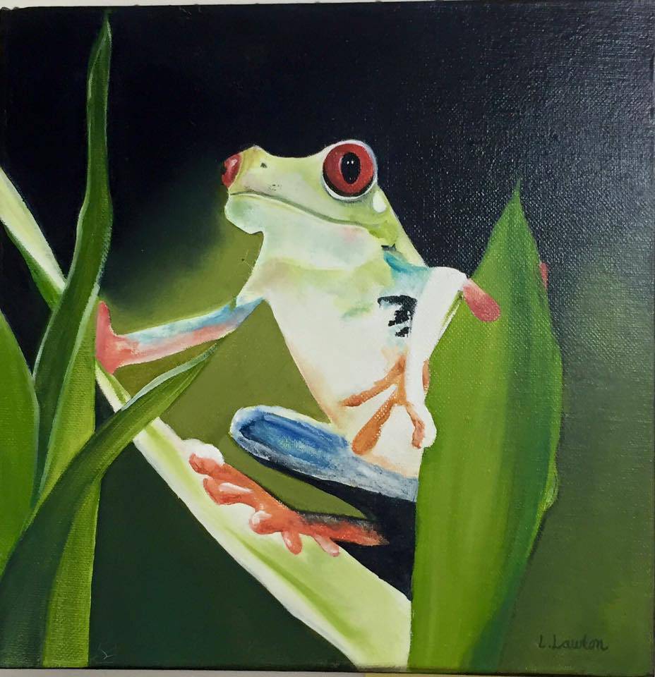 Gorokan NSW New South Wales Tourism 