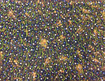 Arlpwe Art Gallery - New South Wales Tourism  3