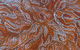 Saltwater Gallery Pty Ltd - thumb 3