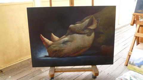 Art On Pallas - New South Wales Tourism  0