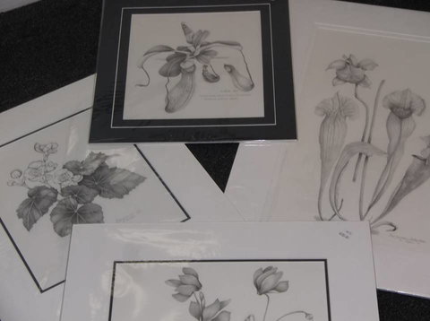 Masterpiece Framing & Gallery - New South Wales Tourism  2