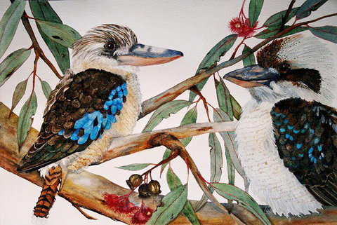 Two Birds Gallery - New South Wales Tourism  3