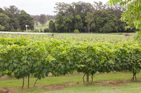 Two Tails Wines - New South Wales Tourism  2