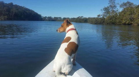 Australis Canoes & Kayaks - New South Wales Tourism  0