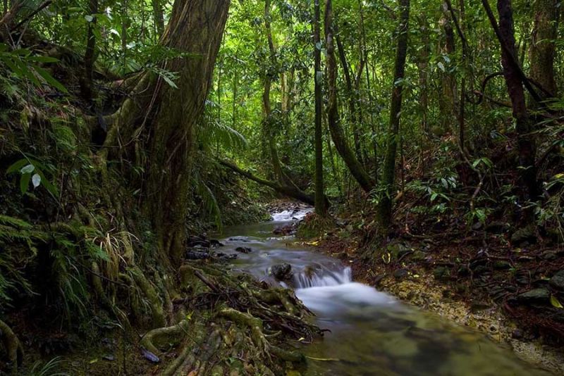 Golf Courses Enoggera QLD New South Wales Tourism 