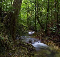 Trek North - New South Wales Tourism 