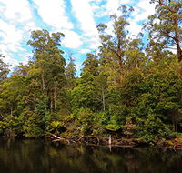 A R Reflections River Cruises