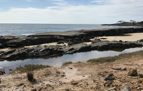 Yamba Tours And Charters - New South Wales Tourism  0