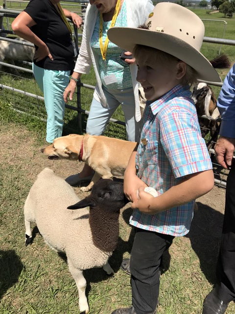 Yamba Tours And Charters - New South Wales Tourism  2