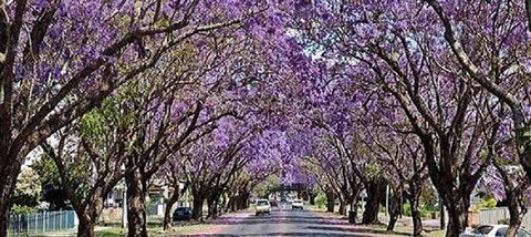 Yamba Tours And Charters - New South Wales Tourism  6