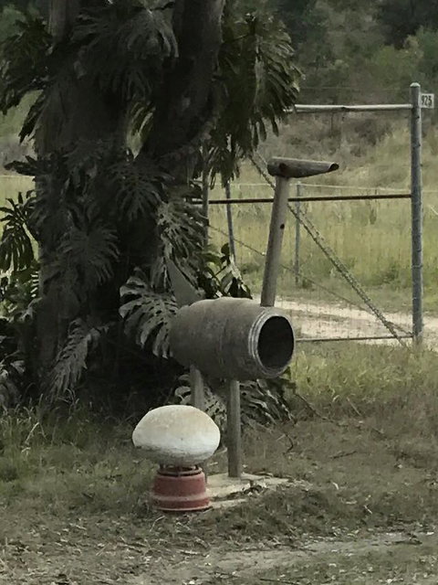 Yamba Tours And Charters - New South Wales Tourism  7