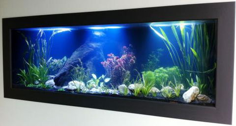 Aquariums In Cairns - New South Wales Tourism  0