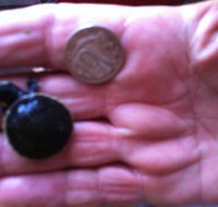 Hurleys Aquariums - New South Wales Tourism 