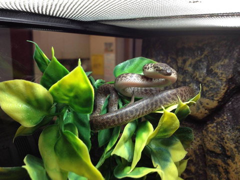 Pets Wonderland - New South Wales Tourism  3