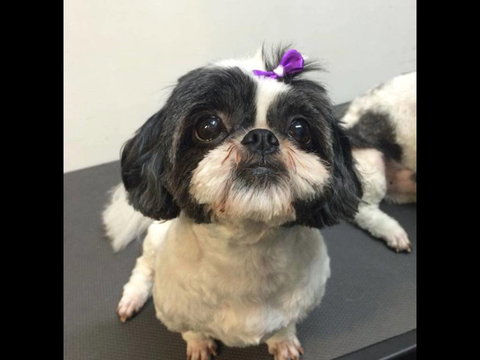 Pets Wonderland - New South Wales Tourism  4