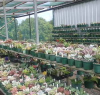 Summerland Aquarium - New South Wales Tourism 