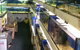 Clearwater Aquariums - thumb 0