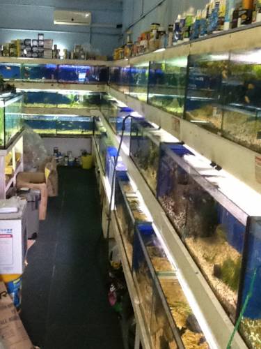 Clearwater Aquariums - New South Wales Tourism  0