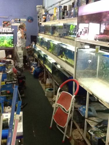 Clearwater Aquariums - New South Wales Tourism  1