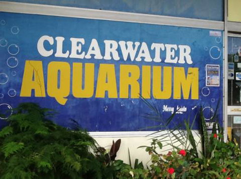 Clearwater Aquariums - New South Wales Tourism  2