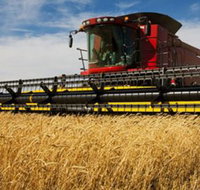 Quirindi Grain and produce - New South Wales Tourism 