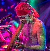 Didgeridoo Jam In The Park - New South Wales Tourism  1