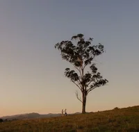 Faulls Ridge Winery - New South Wales Tourism 