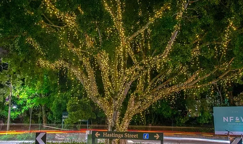 The Sunshine Coast Tour Company - New South Wales Tourism  3